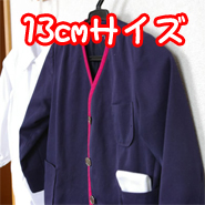 �n���J�`�^�I��13cm�y�Ƃ������z