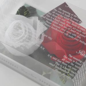 ���[�~���[���o���^�I���@White��Red