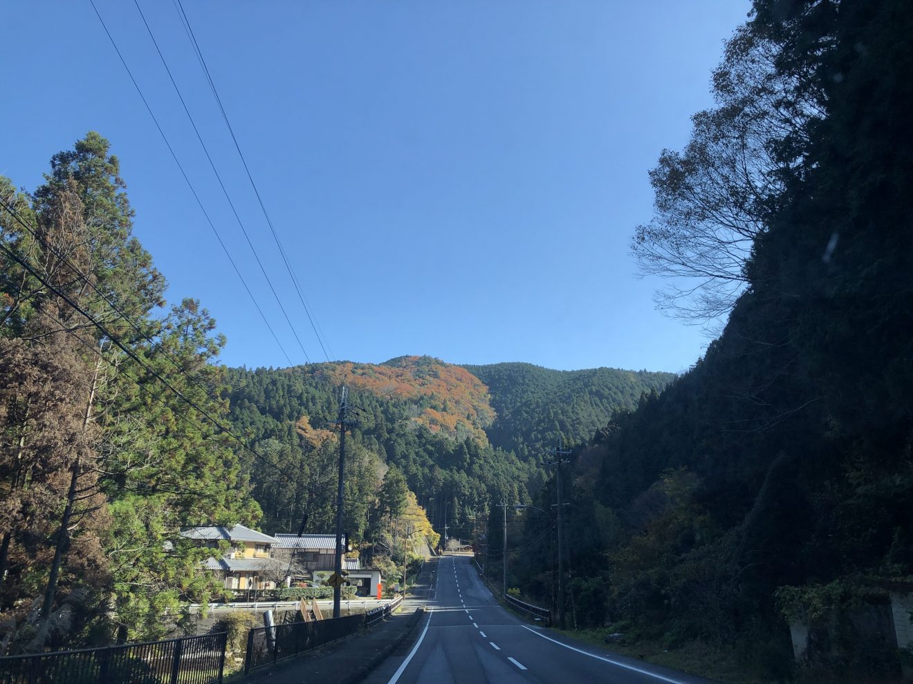 滋賀の紅葉日和