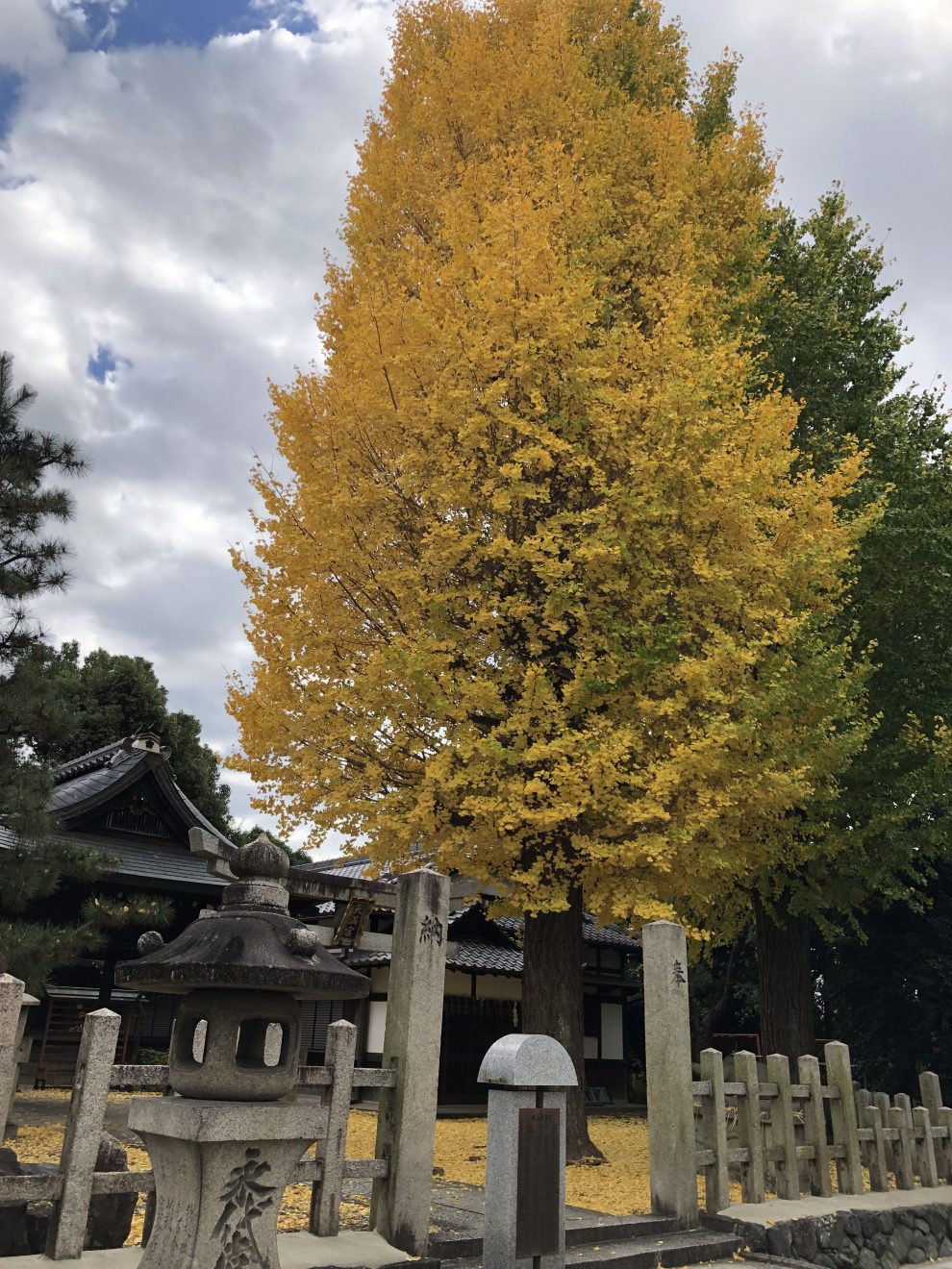 御香宮さんへお礼参り