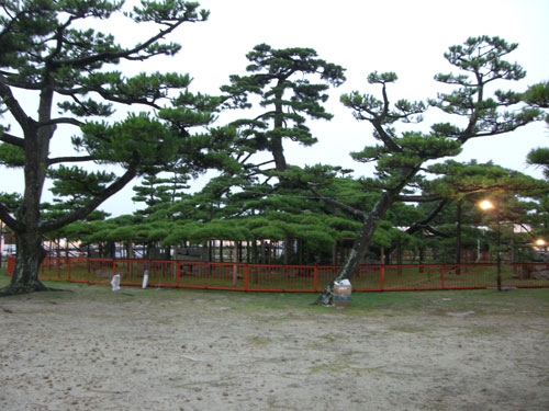 みたらし祭り　唐崎神社2