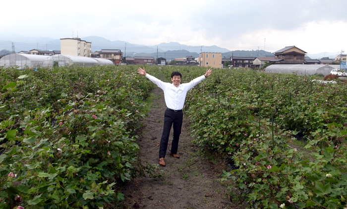 タオルの原材料 タオル通販 タオルはまかせたろ Com