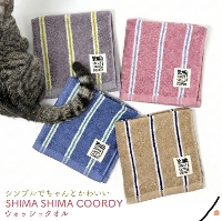 SHIMA SHIMA COORDY �E�H�b�V���^�I��