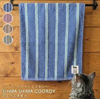 SHIMA SHIMA COORDY �t�F�C�X�^�I��